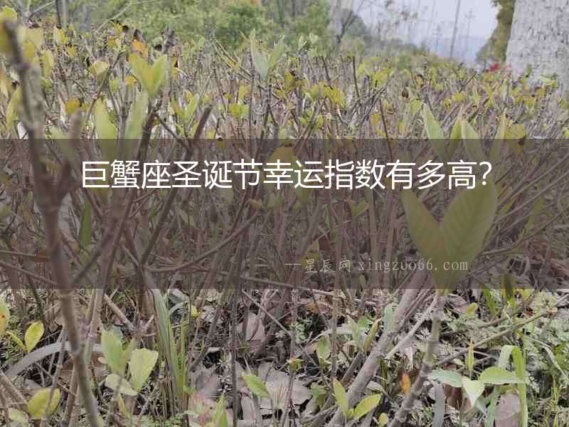 巨蟹座圣誕節幸運指數有多高？