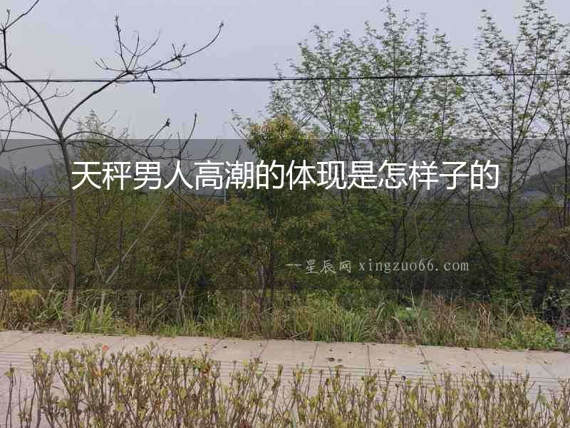 天秤男人高潮的體現(xiàn)是怎樣子的
