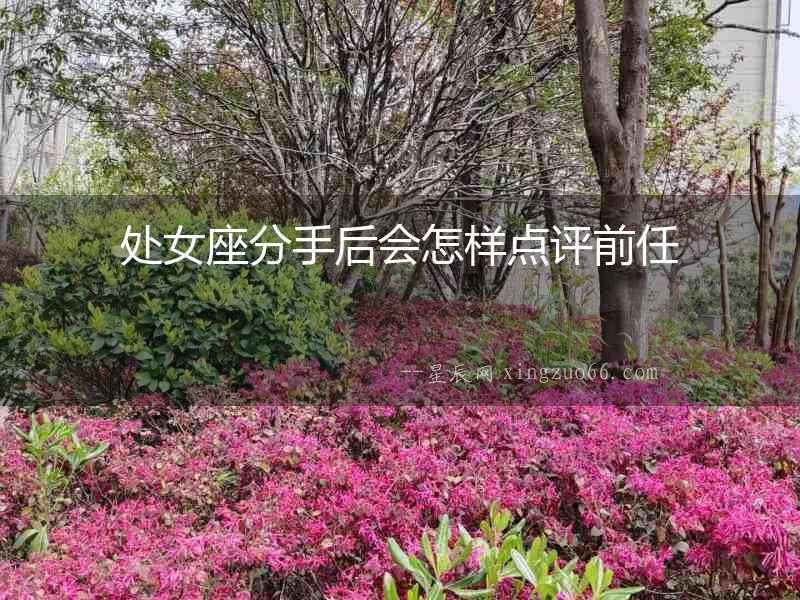 處女座分手后會(huì)怎樣點(diǎn)評(píng)前任