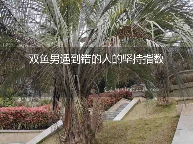 雙魚男遇到錯(cuò)的人的堅(jiān)持指數(shù)