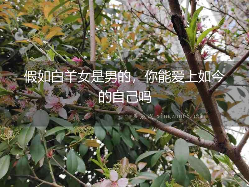假如白羊女是男的,你能愛上如今的自己?jiǎn)? alt=