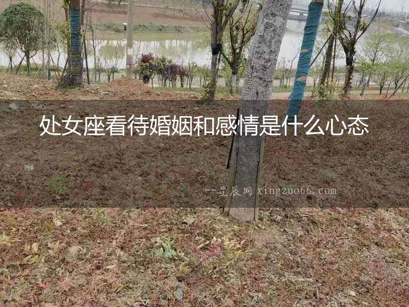 處女座看待婚姻和感情是什么心態