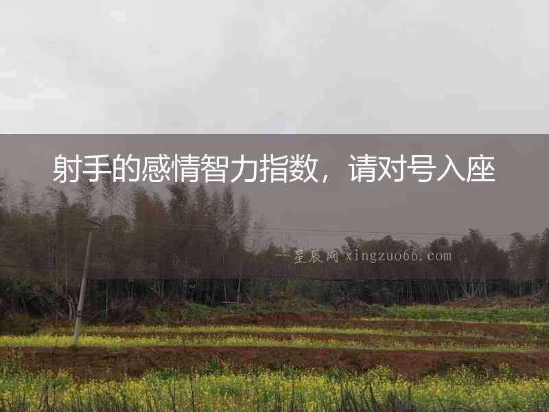 射手的感情智力指數，請對號入座