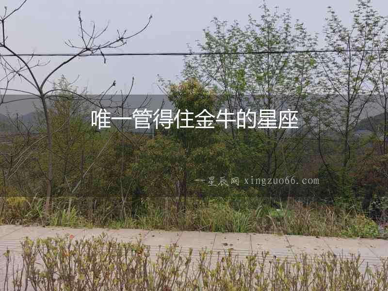 唯一管得住金牛的星座