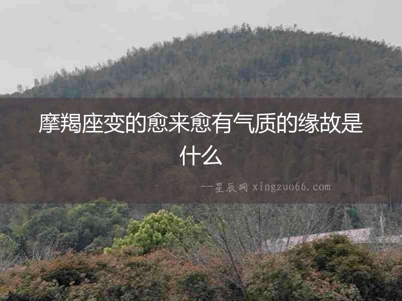 摩羯座變的愈來愈有氣質的緣故是什么