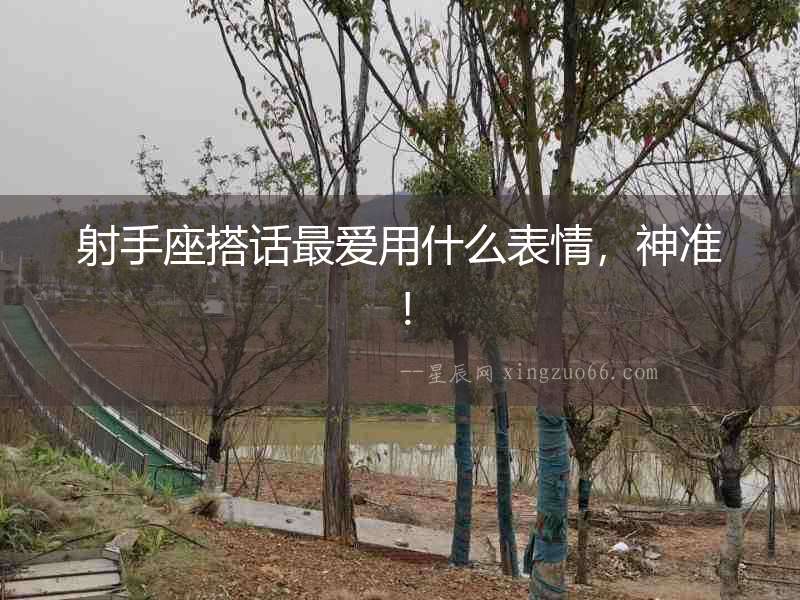 射手座搭話最愛用什么表情，神準！