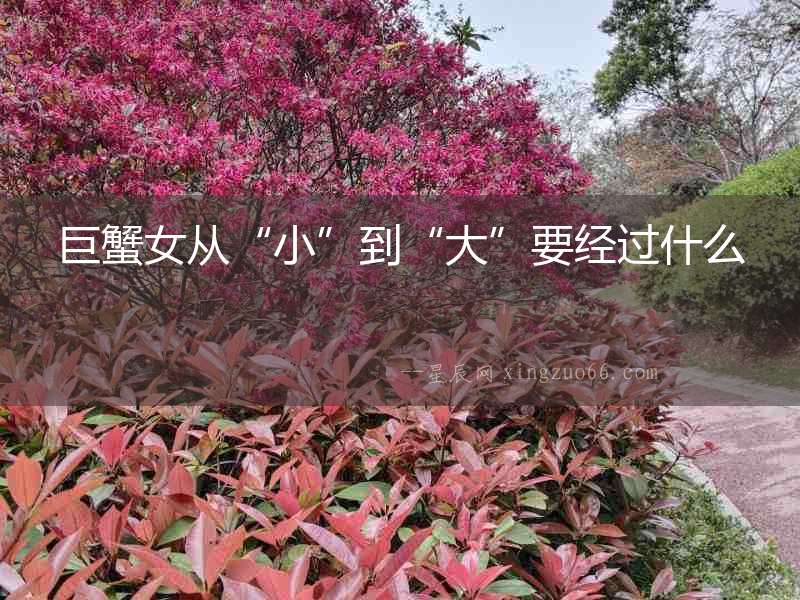巨蟹女從“小”到“大”要經過什么