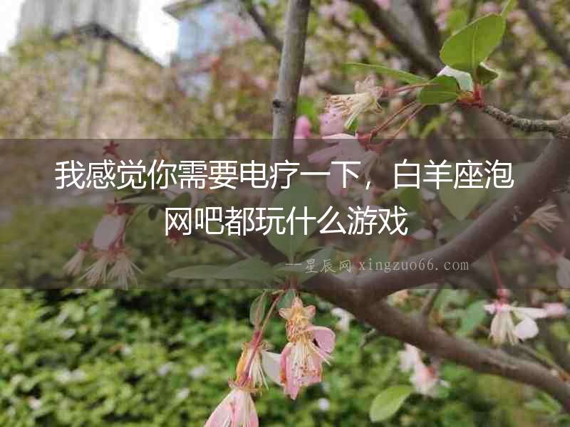 我感覺你需要電療一下，白羊座泡網吧都玩什么游戲