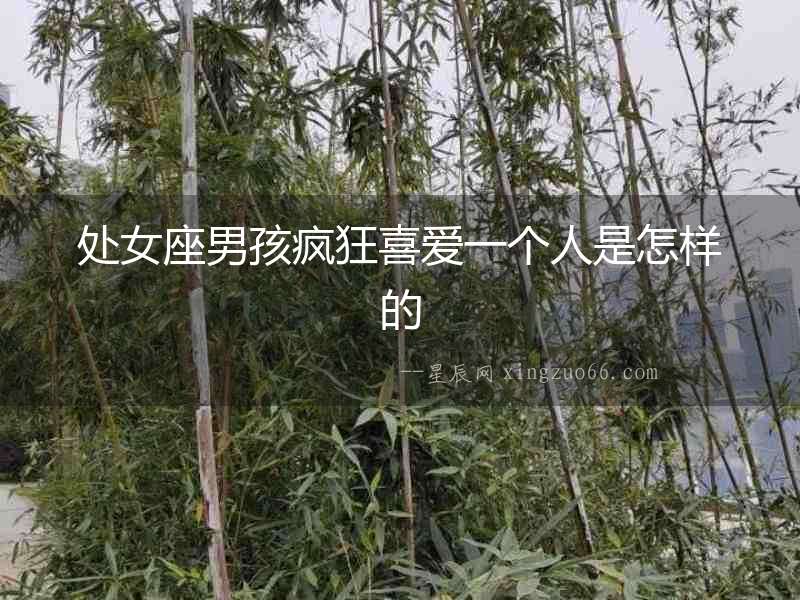 處女座男孩瘋狂喜愛一個人是怎樣的