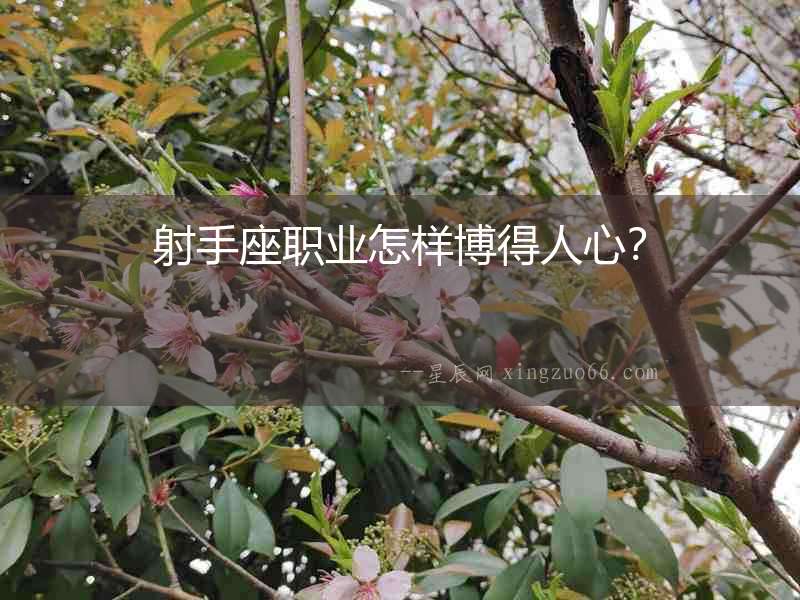 射手座職業怎樣博得人心？