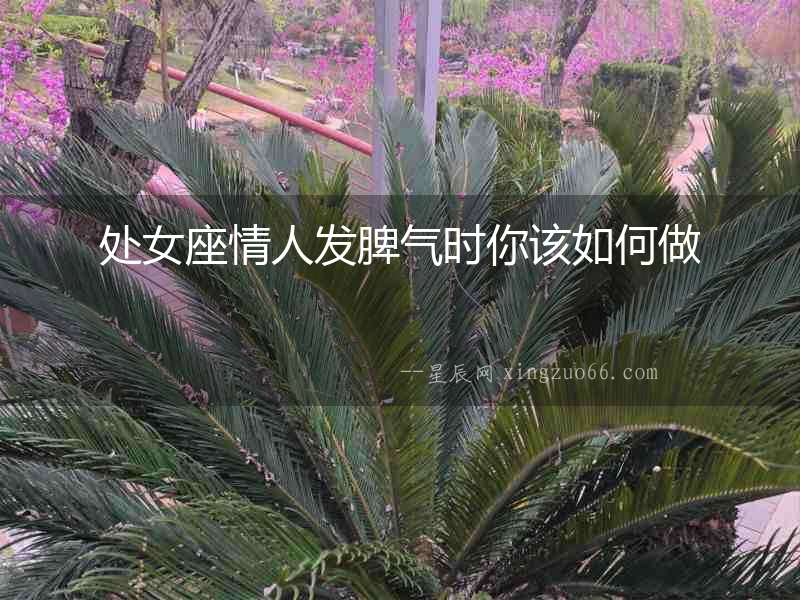 處女座情人發(fā)脾氣時你該如何做