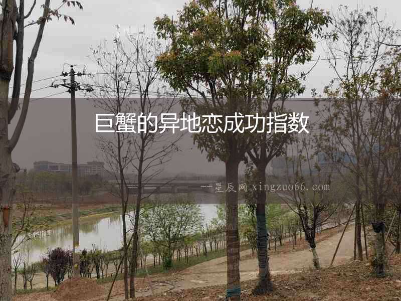巨蟹的異地戀成功指數