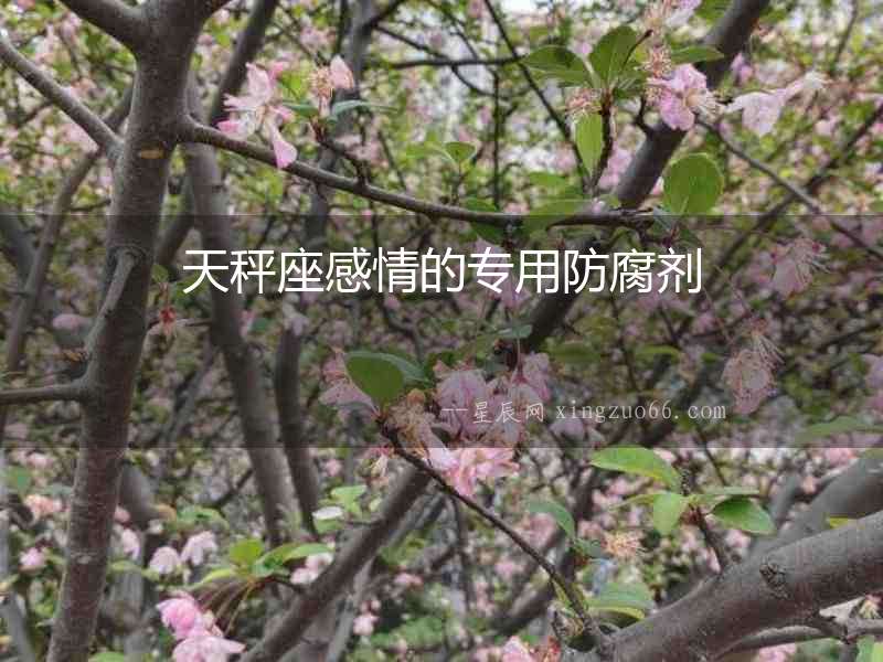 天秤座感情的專用防腐劑