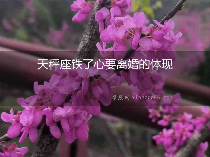 天秤座鐵了心要離婚的體現