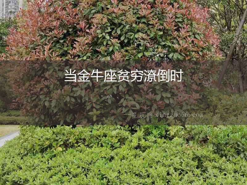 當金牛座貧窮潦倒時