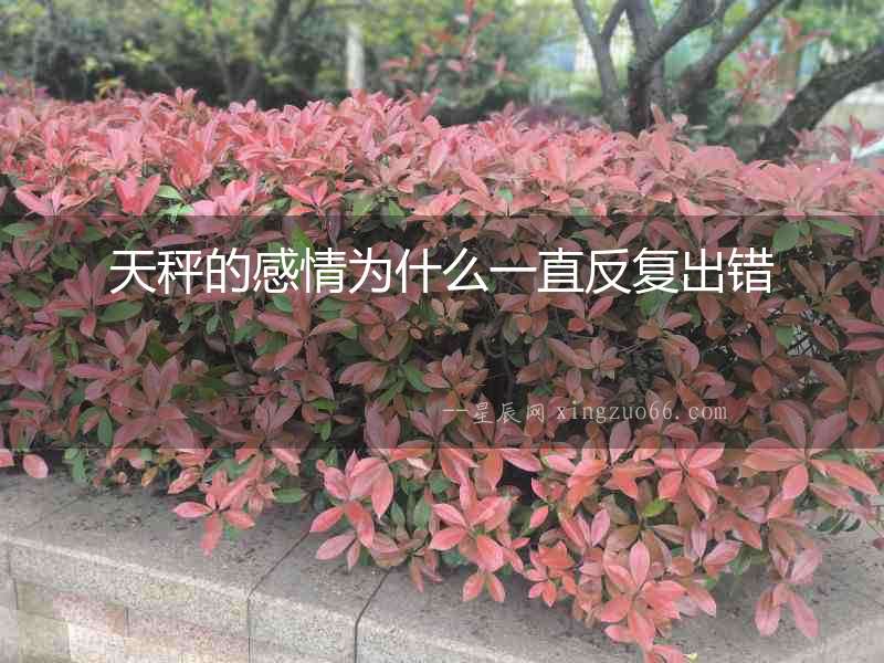 天秤的感情為什么一直反復(fù)出錯