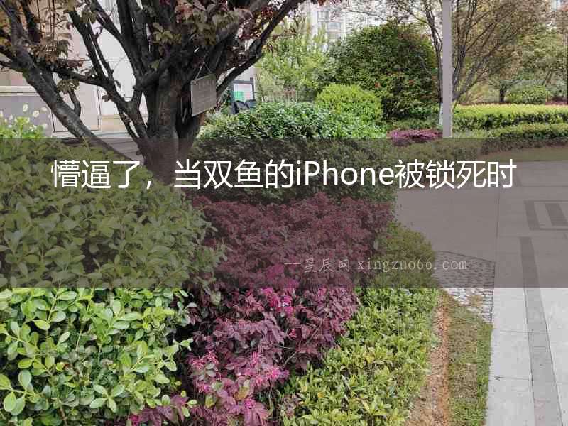 懵逼了，當(dāng)雙魚的iPhone被鎖死時