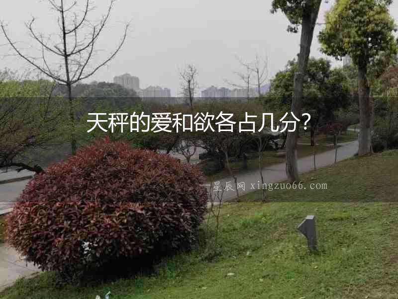 天秤的愛和欲各占幾分？