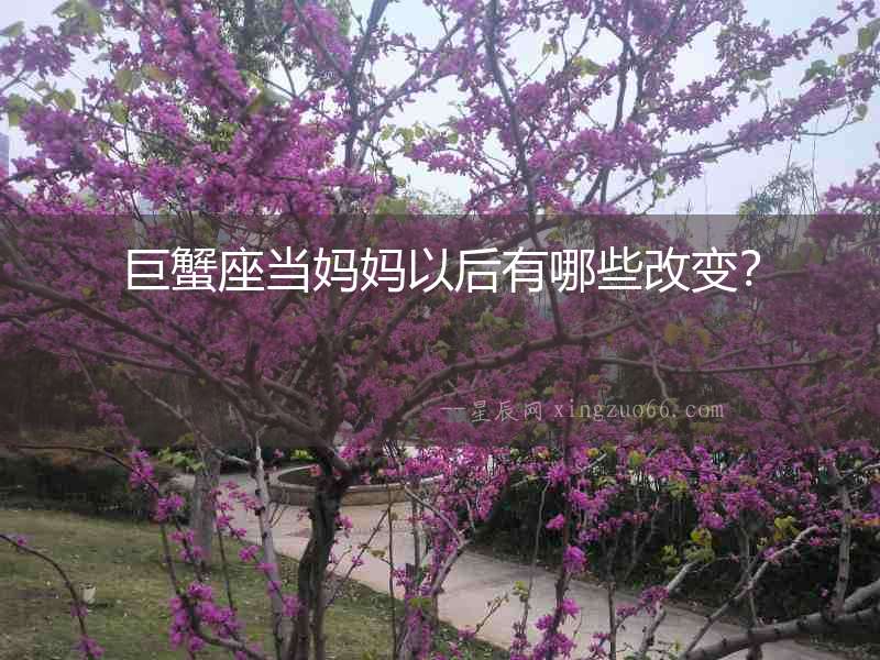 巨蟹座當(dāng)媽媽以后有哪些改變？