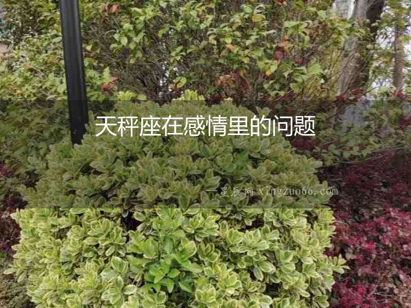 天秤座在感情里的問題