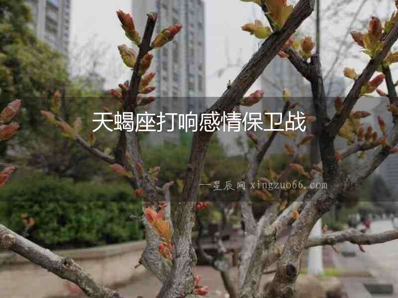 天蝎座打響感情保衛戰