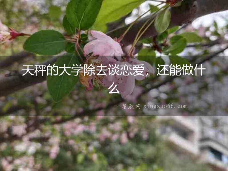 天秤的大學除去談戀愛，還能做什么