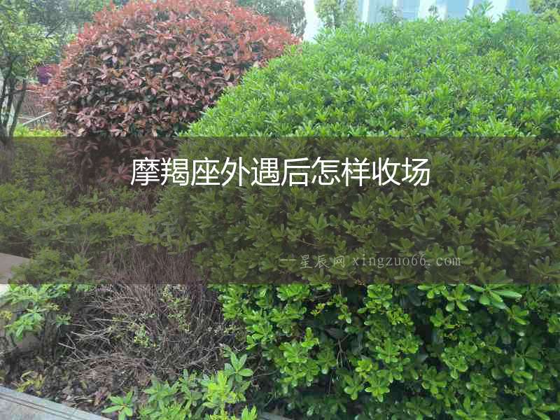 摩羯座外遇后怎樣收?qǐng)? alt=