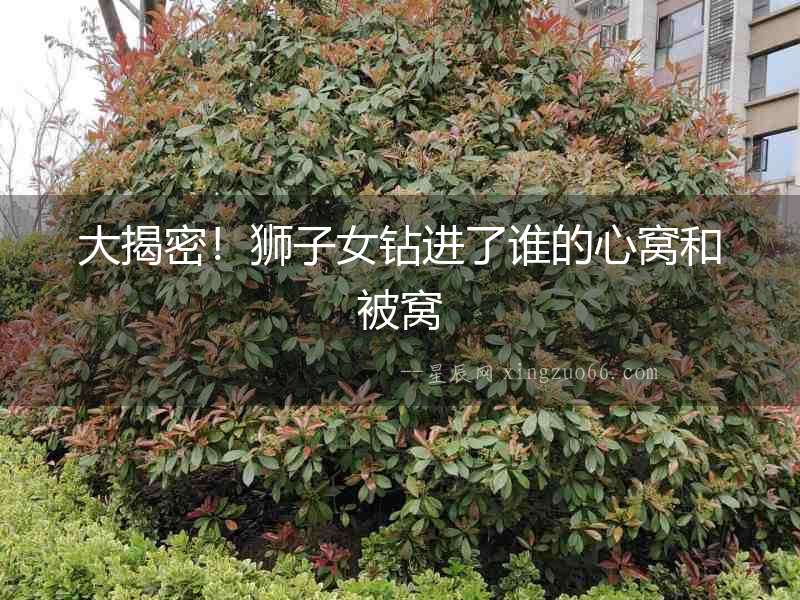 大揭密！獅子女鉆進了誰的心窩和被窩