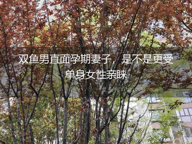 雙魚男直面孕期妻子，是不是更受單身女性親睞