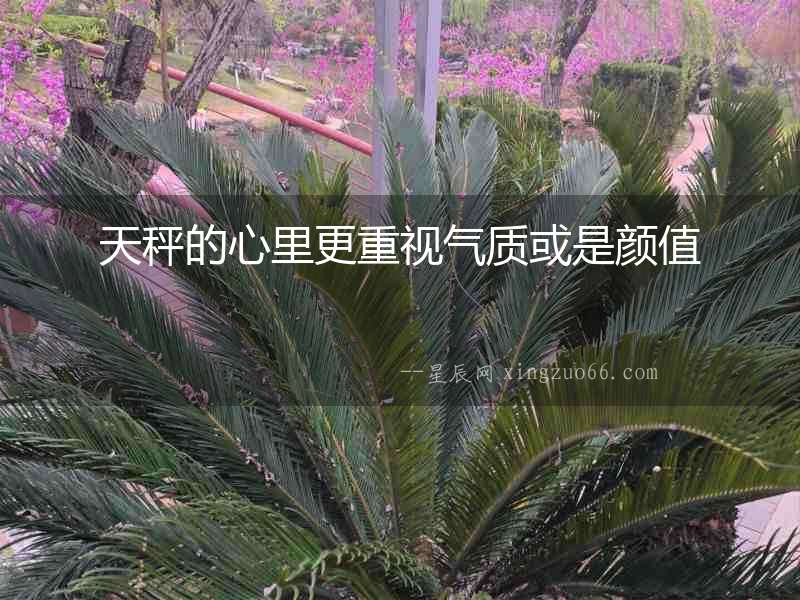 天秤的心里更重視氣質(zhì)或是顏值