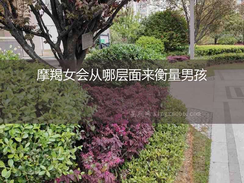 摩羯女會從哪層面來衡量男孩