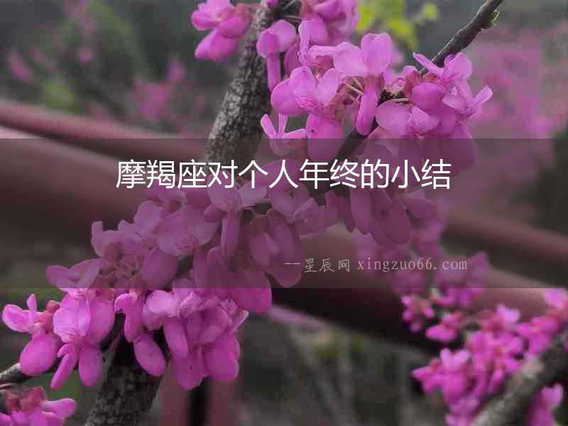 摩羯座對(duì)個(gè)人年終的小結(jié)