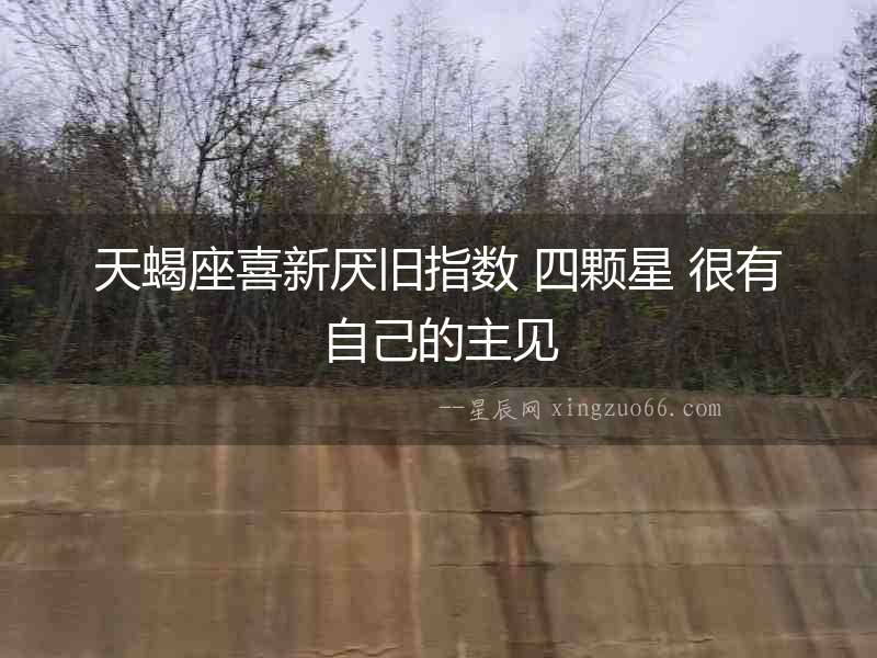天蝎座喜新厭舊指數 四顆星 很有自己的主見