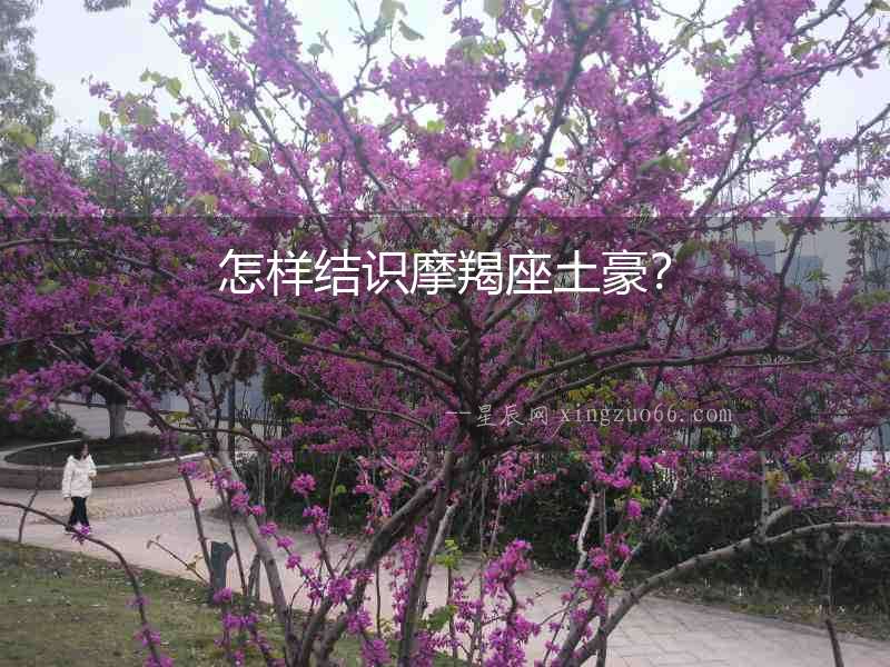 怎樣結識摩羯座土豪？
