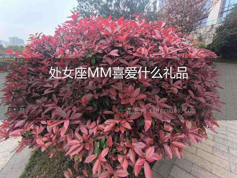 處女座MM喜愛什么禮品