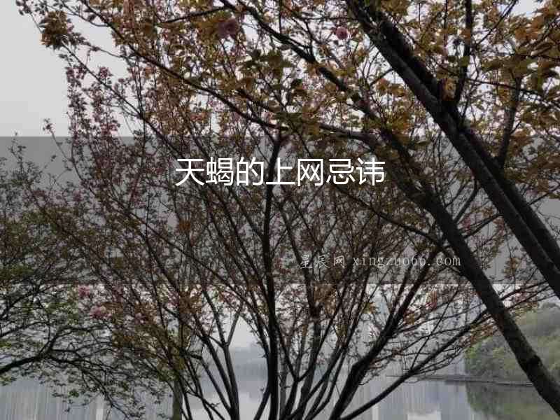 天蝎的上網(wǎng)忌諱