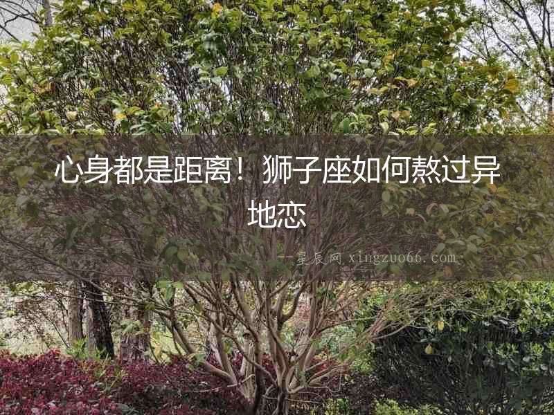 心身都是距離！獅子座如何熬過異地戀