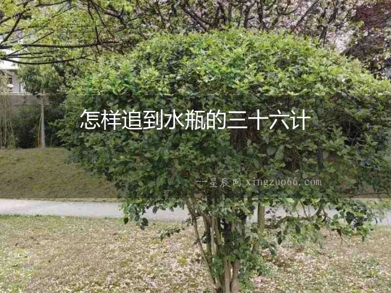怎樣追到水瓶的三十六計(jì)