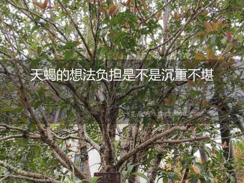 天蝎的想法負擔是不是沉重不堪