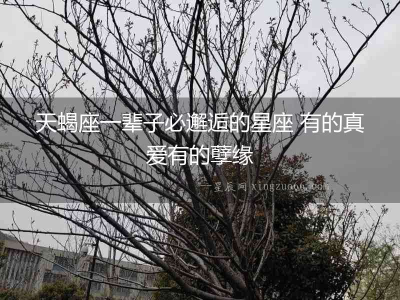 天蝎座一輩子必邂逅的星座 有的真愛(ài)有的孽緣