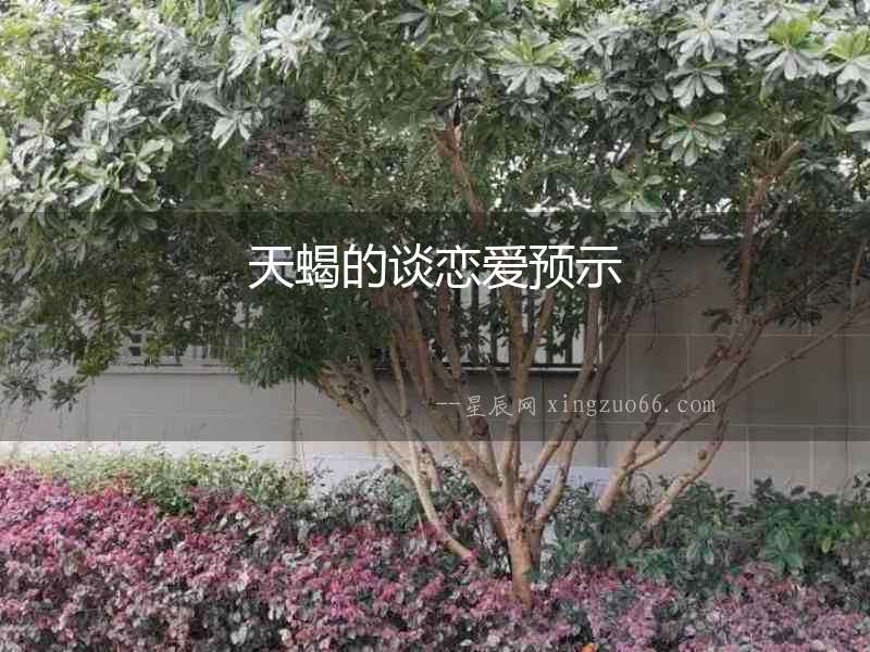天蝎的談戀愛預示