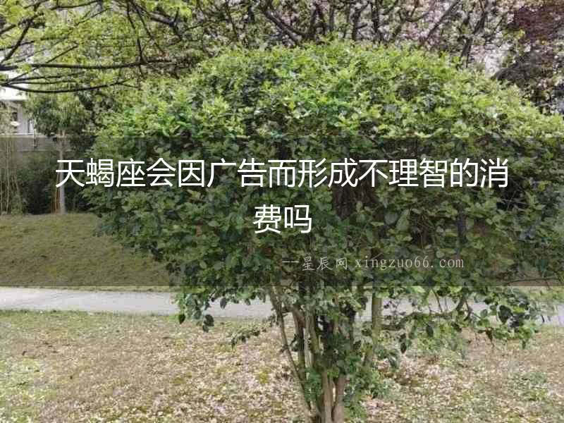 天蝎座會因廣告而形成不理智的消費嗎