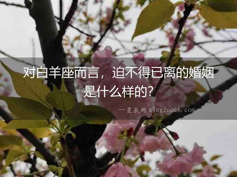 對白羊座而言，迫不得已離的婚姻是什么樣的？