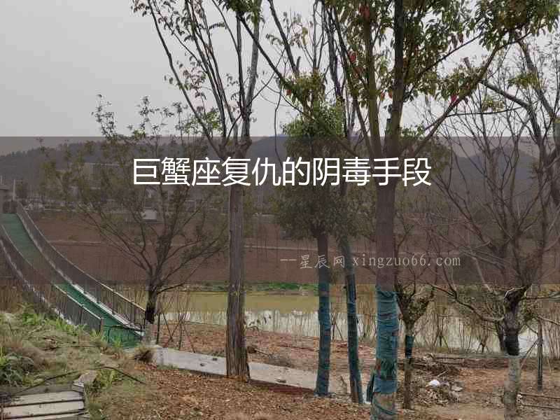 巨蟹座復(fù)仇的陰毒手段