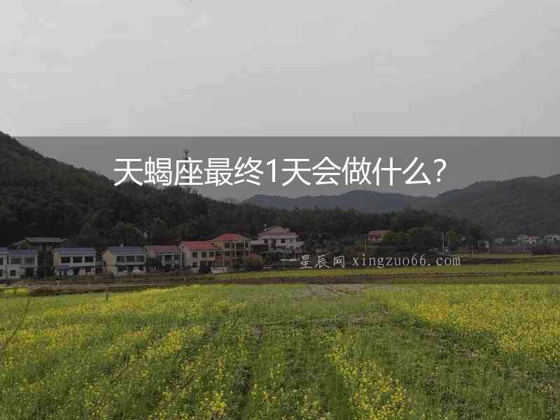 天蝎座最終1天會(huì)做什么？