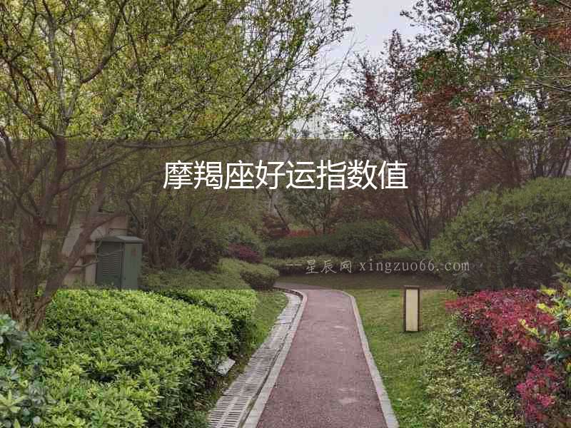 摩羯座好運指數(shù)值