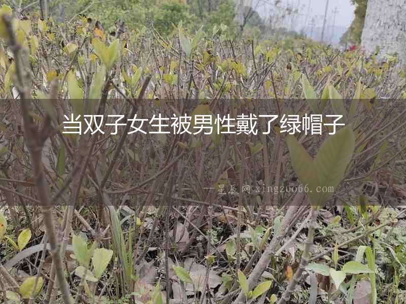 當雙子女生被男性戴了綠帽子