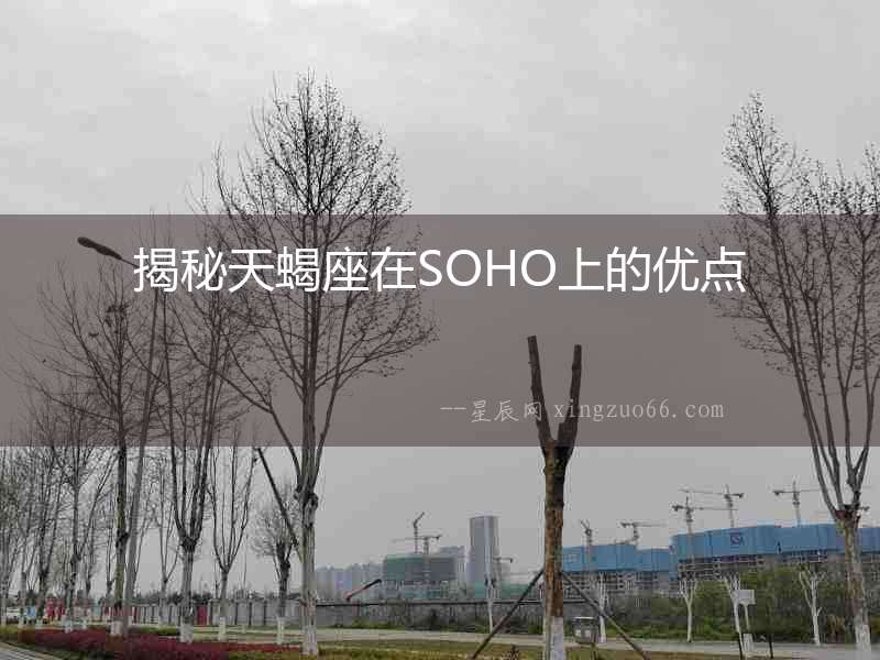揭秘天蝎座在SOHO上的優(yōu)點