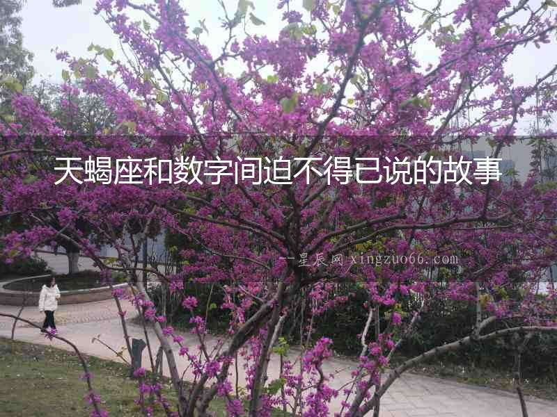 天蝎座和數(shù)字間迫不得已說的故事