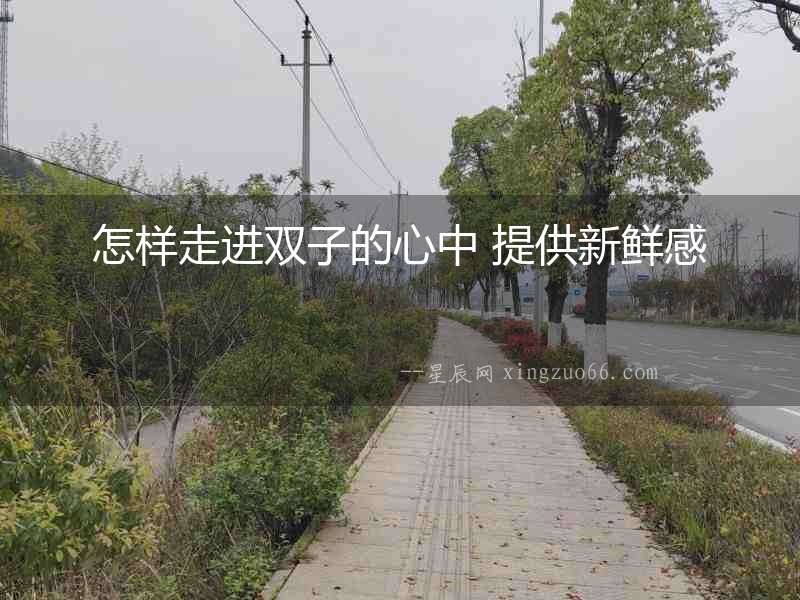 怎樣走進(jìn)雙子的心中 提供新鮮感